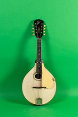 1919 Gibson A 3 Mandolin White