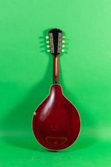 1919 Gibson A 3 Mandolin White