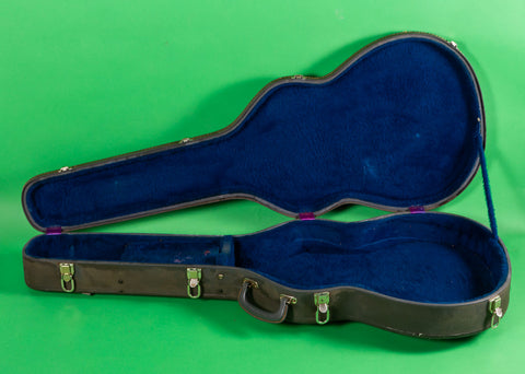 1965 Epiphone Riviera, Sheraton or Casino case, Grey